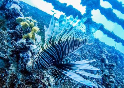 58033104 330906657614583 751763944183431168 n