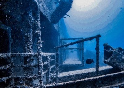 58373564 1207705546059315 147287128798134272 n