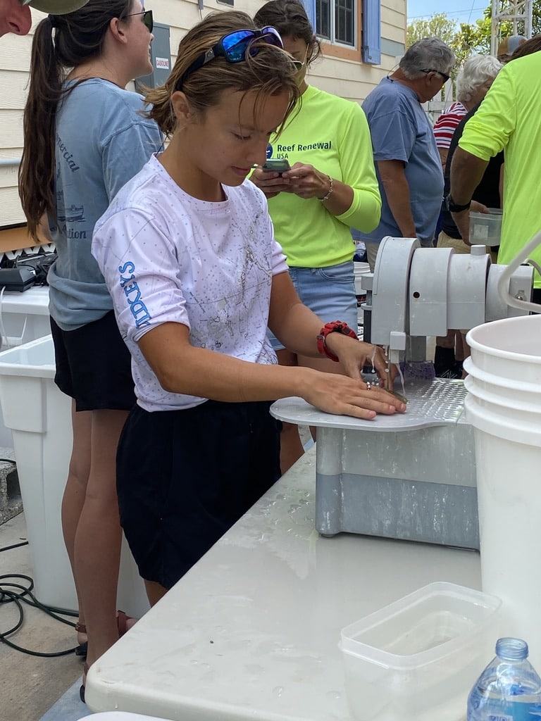 Coral Program 2 7B2AB88F B870 4F36 A789 B8874FFF5C43 1 105 c