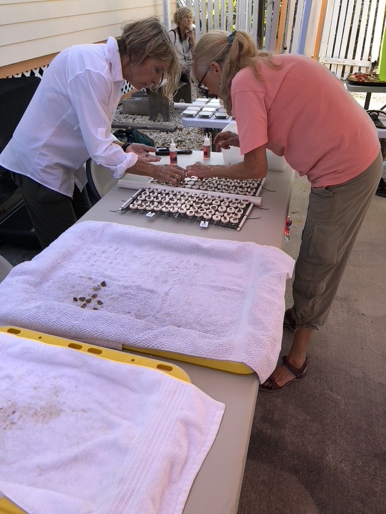 AC6BDA75 50FA 44AF A58A E4366079FBFA 1 105 c