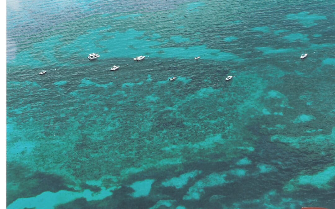 The Divers and Snorkelers Guide to Coffins Patch in Marathon FL