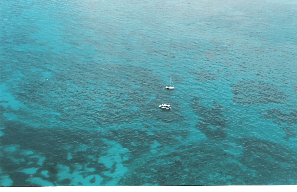 best dives sites in the florida keys