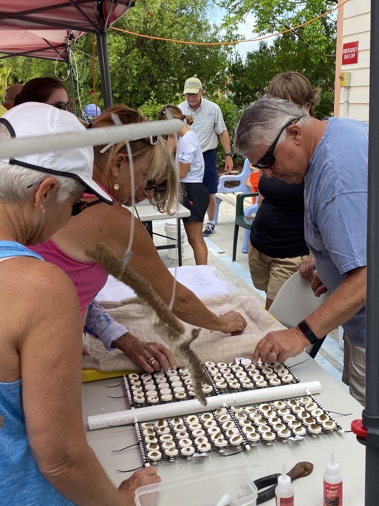 Coral Program 3 E12FB80B AFA6 4551 B7DB 17D17918E0A7 1 105 c