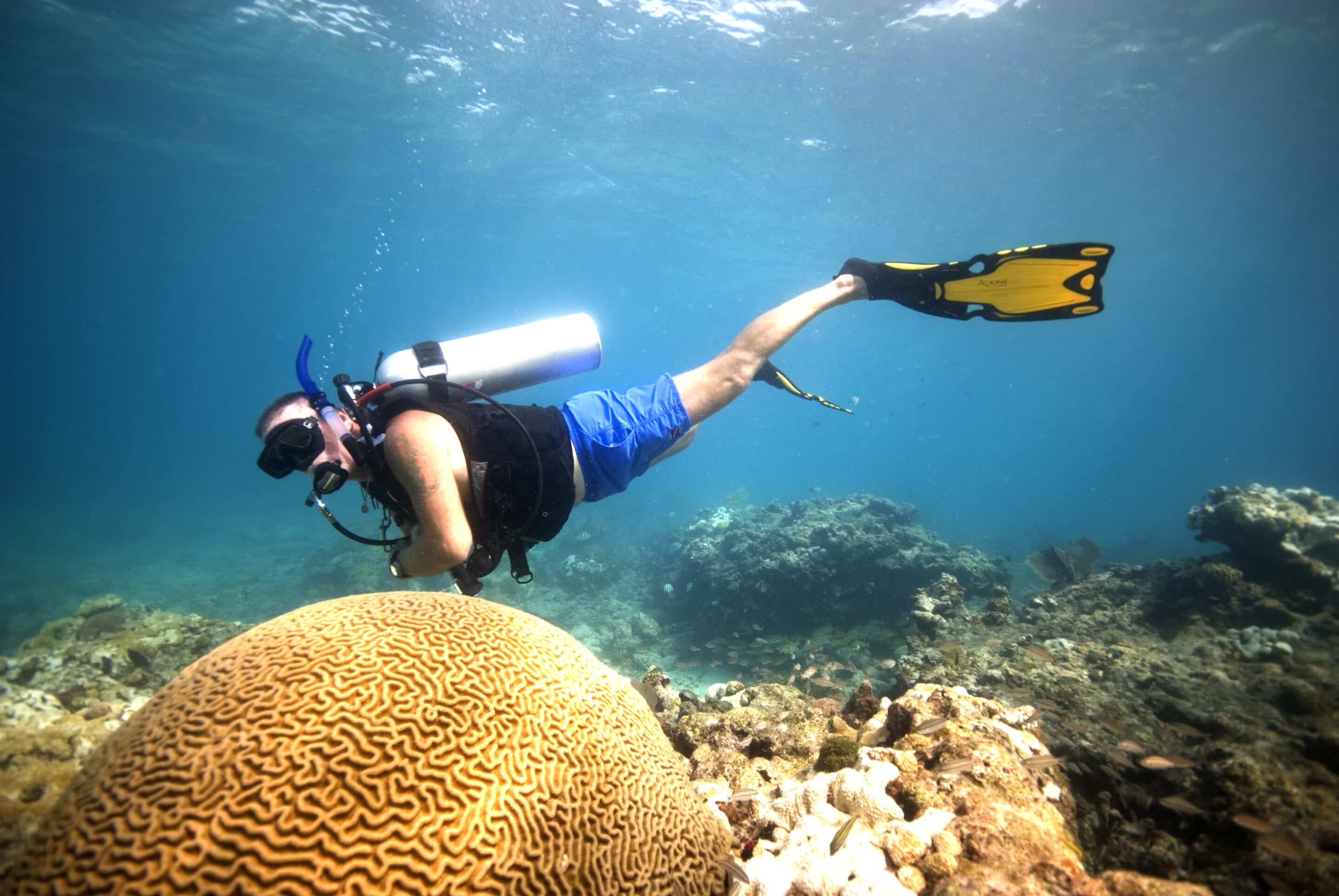 How To Prepare For Your First Scuba Dive 2 Preparing for your first dive trip