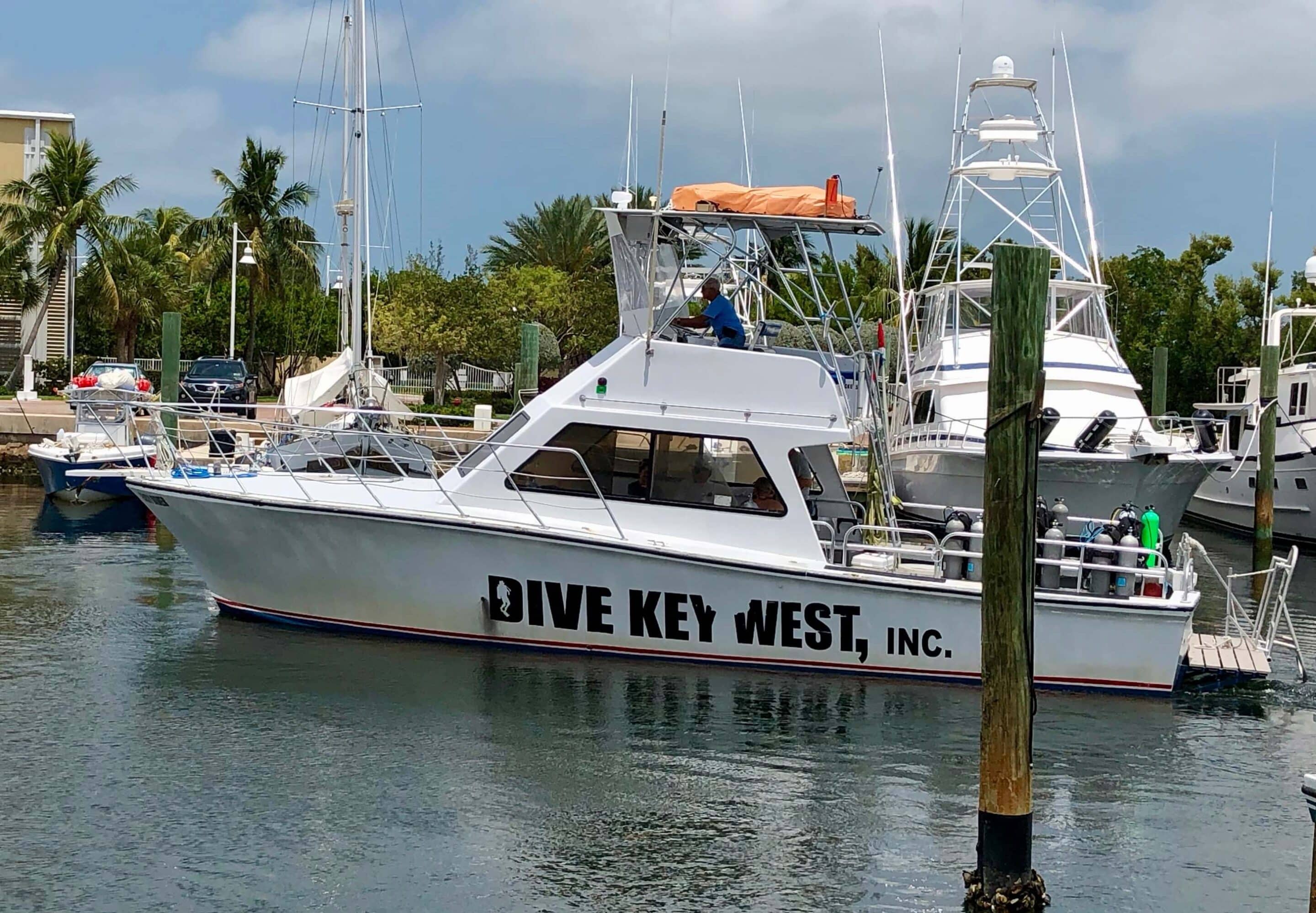 Key West Private Catamaran Charters Image private catamaran charters key west