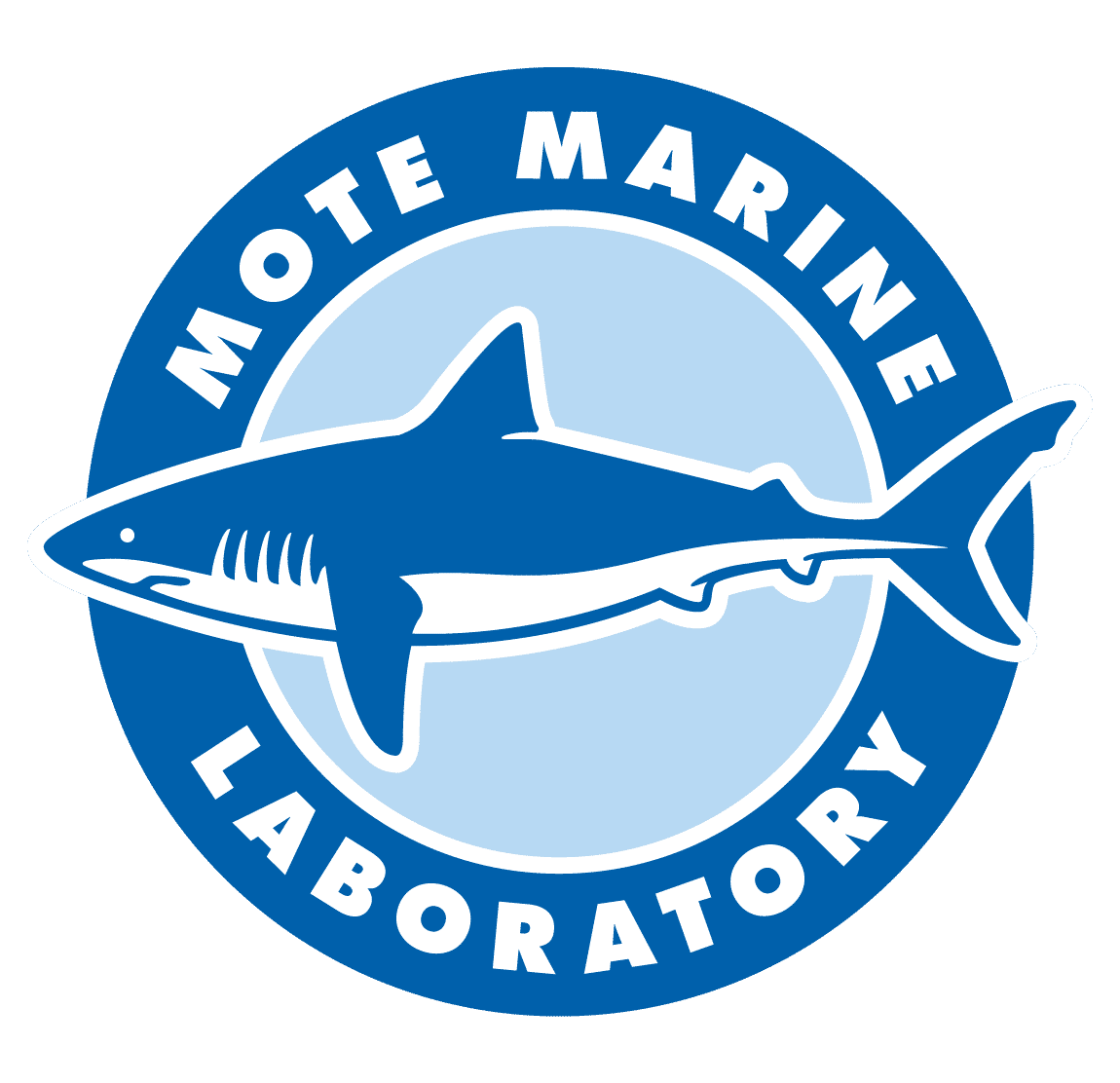 Logo-Lab-New-1 logo lab new 1