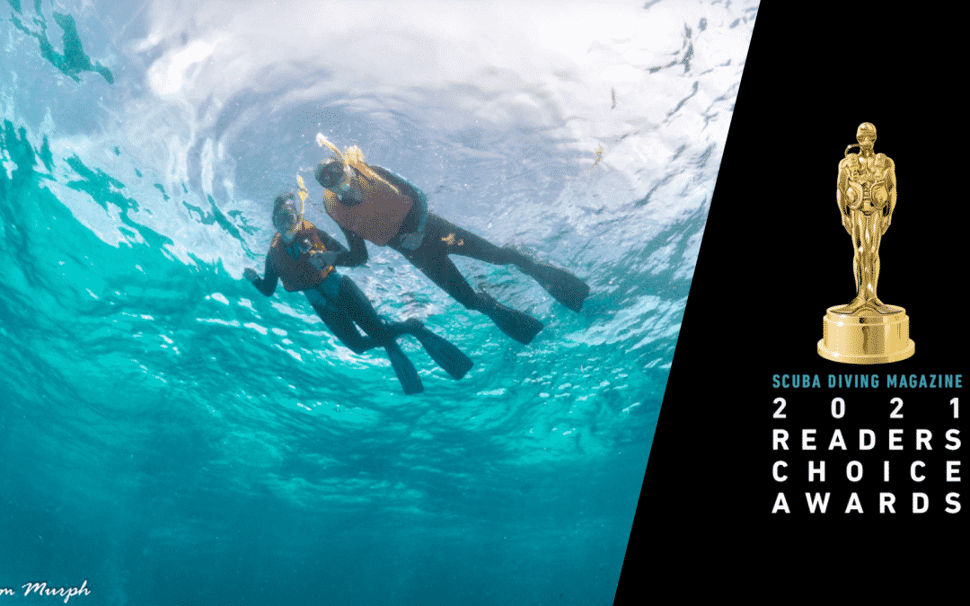 Reader’s Choice Awards Gives Florida Keys “Best Snorkeling” Ranking in all of the US and Canada!